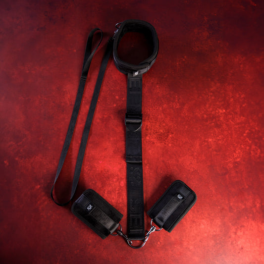 Neck Firmly In Check - Adjustable Neck and Wrist Restraint Kit