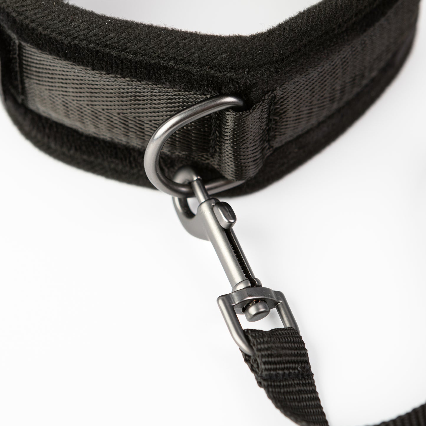 Take the Lead - Padded Neck Collar and Leash